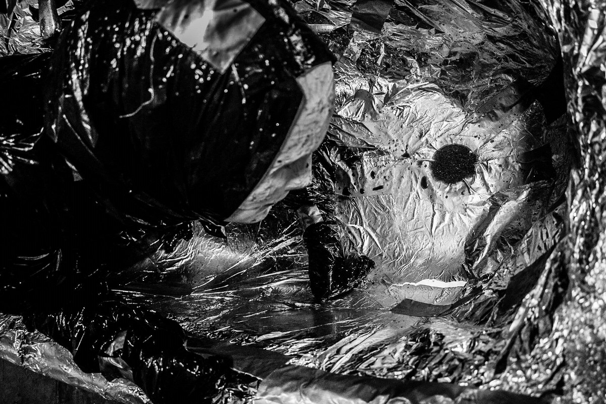 black-matter01